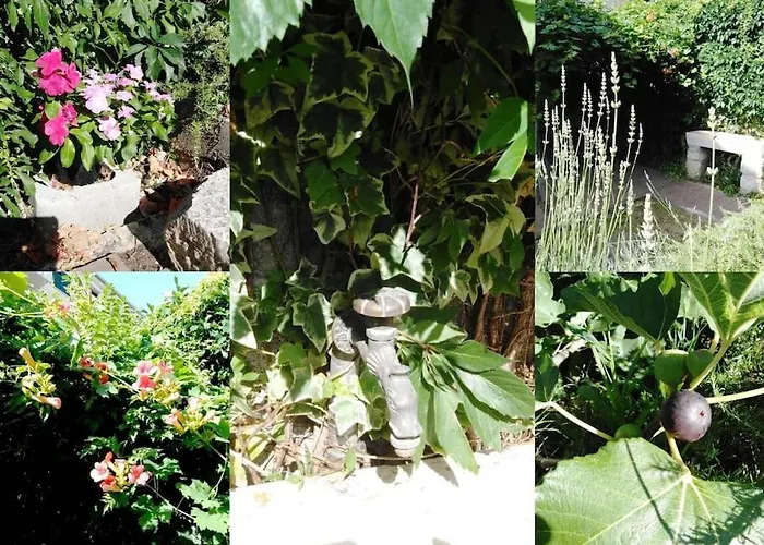 Emaus Garden - Center & 2 Bth Appartamento *
